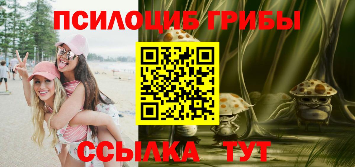 Галлюциногенные грибы Psilocybine cubensis Советский