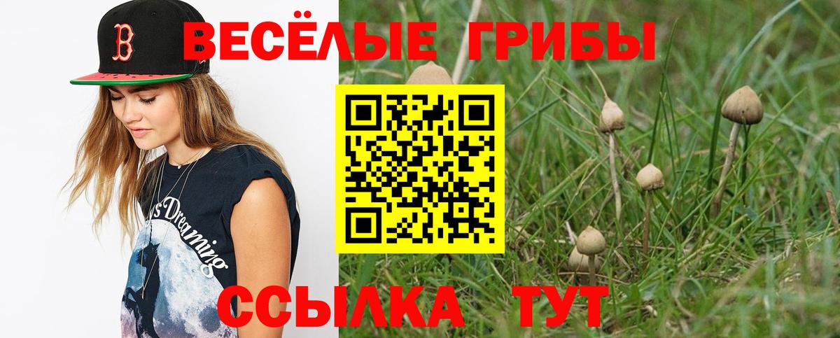 Псилоцибиновые грибы Magic Shrooms  закладки  Советский  Псилоцибиновые грибы Psilocybine cubensis  Вход с VPN 